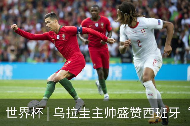 世界杯 | 乌拉圭主帅盛赞西班牙“精致足球”