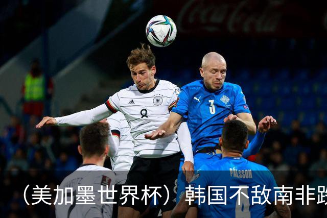 （美加墨世界杯）韩国不敌南非跌至小组第三 出线前景待定